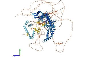 AlphaFold protein structure predicition of Mouse Recombinant Bag6 Protein, UniprotID Q9Z1R2