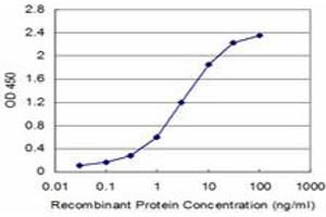 Detection limit for recombinant GST tagged FXN is approximately 0. (Frataxin 抗体  (AA 91-200))