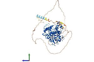 Protein Structure (PS) image for ST6 (Alpha-N-Acetyl-Neuraminyl-2,3-beta-Galactosyl-1,3)-N-Acetylgalactosaminide alpha-2,6-Sialyltransferase 1 (ST6GALNAC1) (AA 1-600) protein (His tag) (ABIN7546000)