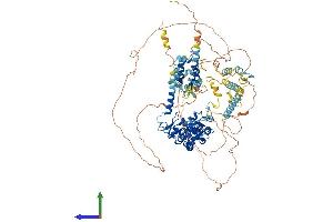 Protein Structure (PS) image for KIAA0226 (KIAA0226) (AA 1-956) protein (His tag) (ABIN7564254)