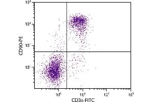 BALB/c mouse splenocytes were stained with Rat  Anti-Mouse CD90-PE. (CD90 抗体)