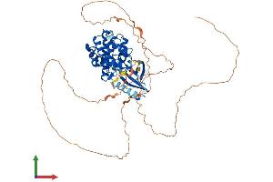 AlphaFold protein structure predicition of Mouse Recombinant Cdkl2 Protein, UniprotID Q9QUK0 (CDKL2 Protein (AA 1-568) (His tag))