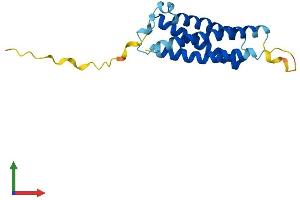 Protein Structure (PS) image for Mal, T Cell Differentiation Protein 2 (MAL2) (AA 1-176) protein (His tag) (ABIN7549229)