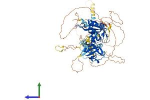 Protein Structure (PS) image for Aryl Hydrocarbon Receptor Nuclear Translocator-Like (ARNTL) (AA 1-632) protein (His tag) (ABIN7565203)