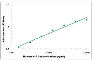 Representative Standard Curve (MIF ELISA 试剂盒)