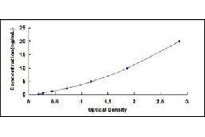 ELISA image for Plasminogen Activator Inhibitor 1 (SERPINE1) ELISA Kit (ABIN416381)