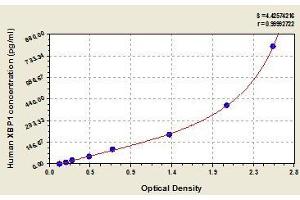 Typical standard curve (XBP1 ELISA 试剂盒)