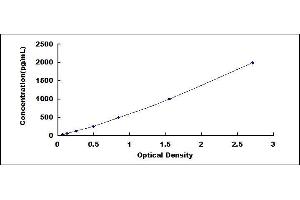 Typical standard curve (WNT11 ELISA 试剂盒)