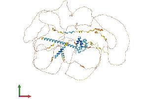 Protein Structure (PS) image for Serine/arginine Repetitive Matrix 1 (SRRM1) (AA 1-946) protein (His tag) (ABIN7563792)