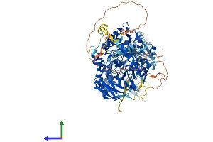 AlphaFold protein structure predicition of Mouse Recombinant Mocos Protein, UniprotID Q14CH1