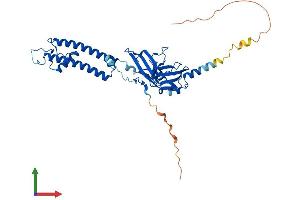 Protein Structure (PS) image for Potassium Inwardly-Rectifying Channel, Subfamily J, Member 9 (KCNJ9) (AA 1-393) protein (His tag) (ABIN7554301)