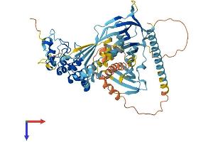 AlphaFold protein structure predicition of Human Recombinant ANKRD13A Protein, UniprotID Q8IZ07