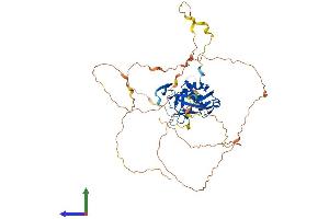 AlphaFold protein structure predicition of Mouse Recombinant Tbx21 Protein, UniprotID Q9JKD8 (T-Bet Protein (AA 1-530) (His tag))