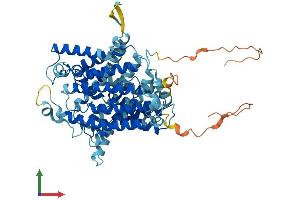 Protein Structure (PS) image for Sodium Dependent Vitamin C Transporter 1 (SVCT1) (AA 1-598) protein (His tag) (ABIN7551710)