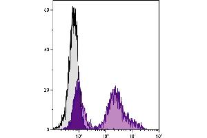 C57BL/6 mouse splenocytes were stained with Rat Anti-Mouse CD24-UNLB. (CD24 抗体)