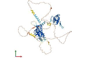 Protein Structure (PS) image for Crossover junction endonuclease EME1 (EME1) (AA 1-570) protein (His tag) (ABIN7558710)