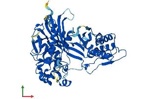Protein Structure (PS) image for Sedoheptulokinase (SHPK) (AA 1-478) protein (His tag) (ABIN7546088)