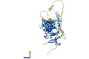 Protein Structure (PS) image for Growth Factor Receptor-Bound Protein 7 (GRB7) (AA 1-535) protein (His tag) (ABIN7563586)