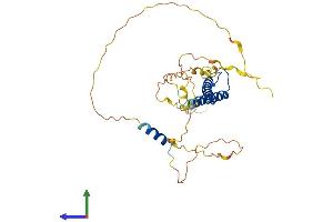 AlphaFold protein structure predicition of Mouse Recombinant Myod1 Protein, UniprotID P10085