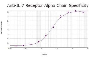 ELISA results of purified Rabbit anti-IL 7 Receptor Alpha Chain Antibody tested against BSA-conjugated peptide of immunizing peptide. (IL7R 抗体)