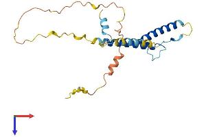 HAND2 Protein (AA 1-217) (His tag)