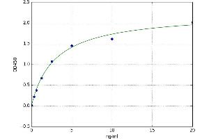 A typical standard curve (RNASET2 ELISA 试剂盒)