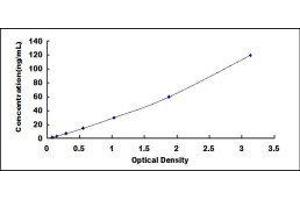 Interleukin 6 Receptor (IL6R) ELISA Kit