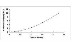 Typical standard curve (Galectin 3 ELISA 试剂盒)