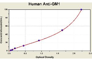 Diagramm of the ELISA kit to detect Human Ant1 -GM1with the optical density on the x-axis and the concentration on the y-axis. (Anti-Ganglioside M1 Antibody ELISA 试剂盒)