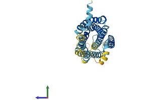 Protein Structure (PS) image for G Protein-Coupled Receptor 82 (GPR82) (AA 1-328) protein (His tag) (ABIN7559053)