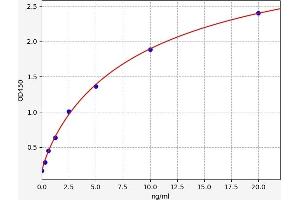 Typical standard curve (TNKS ELISA 试剂盒)