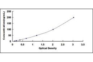 Typical standard curve (CRAT ELISA 试剂盒)