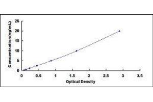 Typical standard curve (CD4 ELISA 试剂盒)