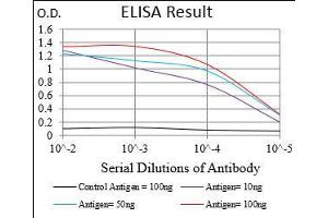 ELISA image for anti-Regulatory Associated Protein of mTOR, Complex 1 (RPTOR) (AA 874-1009) antibody (ABIN1724920)