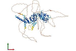 AlphaFold protein structure predicition of Human Recombinant SIM1 Protein, UniprotID P81133