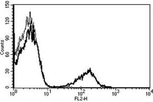Flow Cytometry (FACS) image for anti-CD19 Molecule (CD19) antibody (PE) (ABIN1105985) (CD19 抗体  (PE))