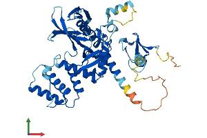 AlphaFold protein structure predicition of Human Recombinant MYLIP Protein, UniprotID Q8WY64