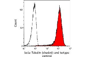 Flow Cytometry (FACS) image for anti-Tubulin, beta (TUBB) (AA 1-50) antibody (ABIN7453995)
