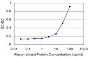 Detection limit for recombinant GST tagged CTSK is approximately 3ng/ml as a capture antibody. (Cathepsin K 抗体  (AA 220-329))