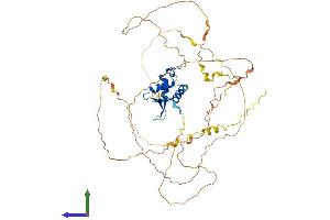 AlphaFold protein structure predicition of Human Recombinant FOXO4 Protein, UniprotID P98177 (FOXO4 Protein (AA 1-505) (His tag))