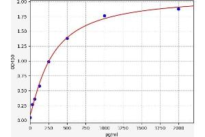 MAD1L1 ELISA 试剂盒