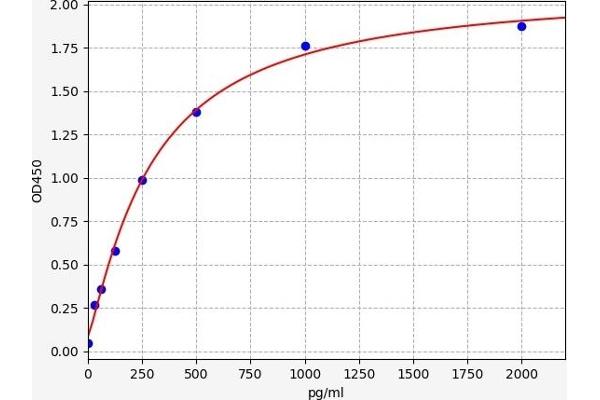 MAD1L1 ELISA 试剂盒