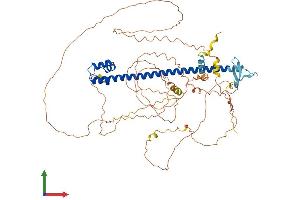 AlphaFold protein structure predicition of Mouse Recombinant Nfe2l3 Protein, UniprotID Q9WTM4