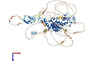 CTDP1 Protein (AA 1-960) (His tag)