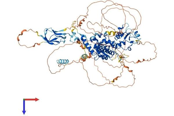 CTDP1 Protein (AA 1-960) (His tag)