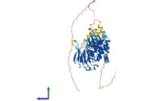 Protein Structure (PS) image for Checkpoint Kinase 2 (CHEK2) (AA 1-543) protein (His tag) (ABIN7553249)