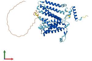 Protein Structure (PS) image for CDP-Diacylglycerol Synthase (Phosphatidate Cytidylyltransferase) 1 (CDS1) (AA 1-461) protein (His tag) (ABIN7556842)
