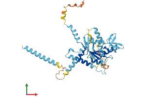 AlphaFold protein structure predicition of Mouse Recombinant Septin5 Protein, UniprotID Q9Z2Q6