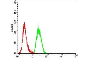 Flow cytometric analysis of Hela cells using MSLN mouse mAb (green) and negative control (red). (Mesothelin 抗体  (AA 37-286))