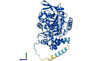 AlphaFold protein structure predicition of Mouse Recombinant Fmo5 Protein, UniprotID P97872
